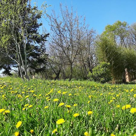Chambre Soignee Et Accueillante A La Campagne - Ch. Jaune L'Honor-de-Cos 외부 사진