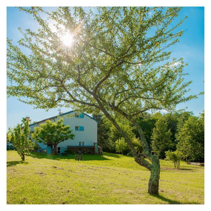 Chambre Soignee Et Accueillante A La Campagne - Ch. Jaune L'Honor-de-Cos 외부 사진